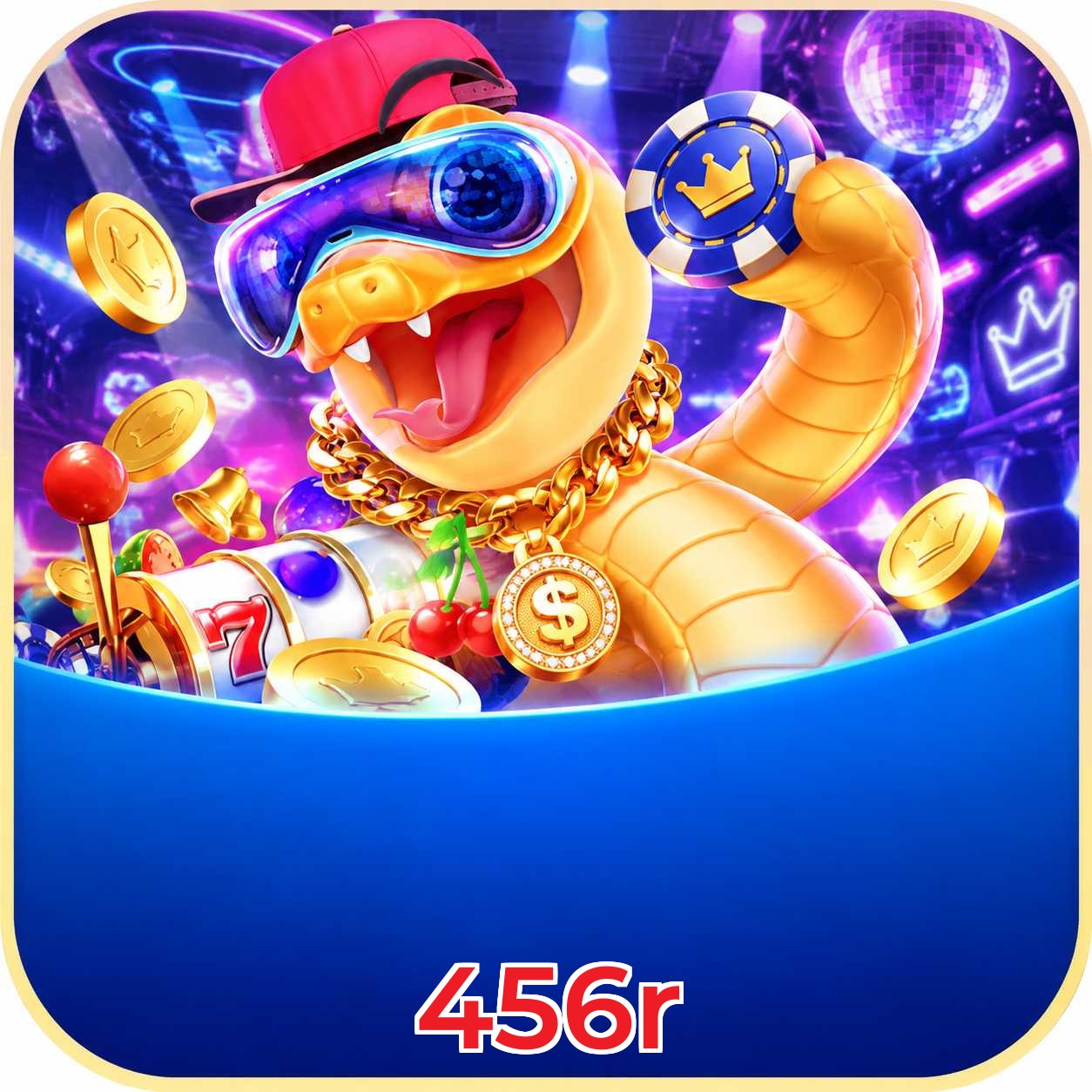 456r VIP Program