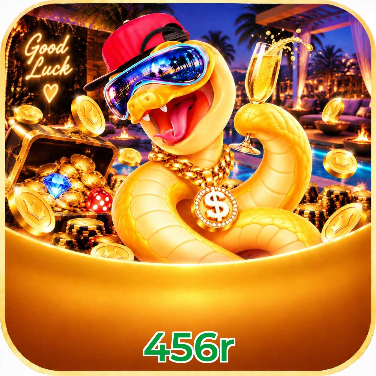 456r System Requirements