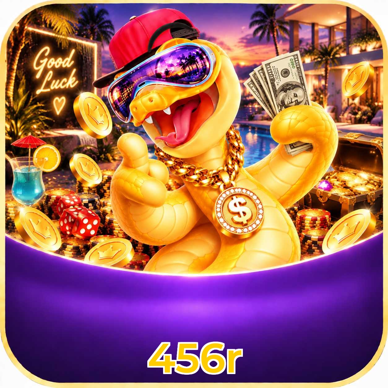 456r System Requirements